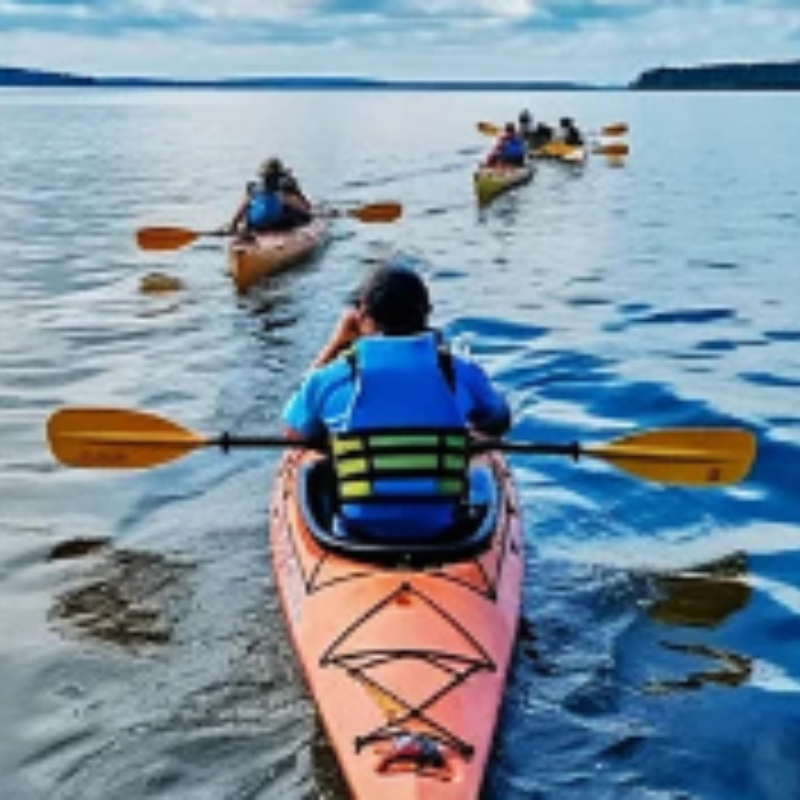 Ensemble de pagaies de kayak en alliage d'aluminium